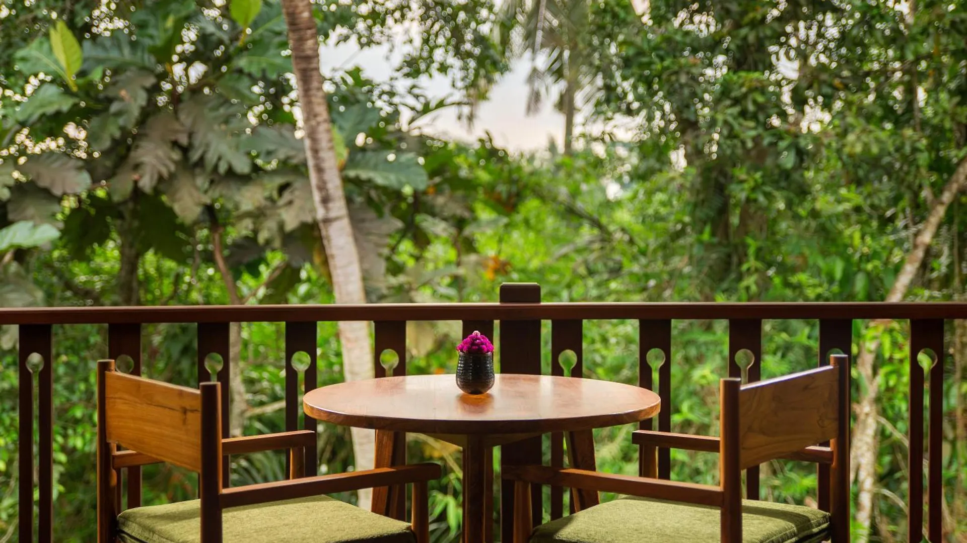 Beehouse Dijiwa Ubud 0*, Ubud (Bali) Indonesia